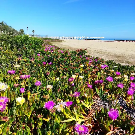 Sabbia - Il Tuo A Due Passi Dal Mare