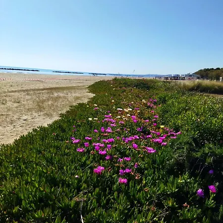 Sabbia - Il Tuo A Due Passi Dal Mare Apartment Montesilvano