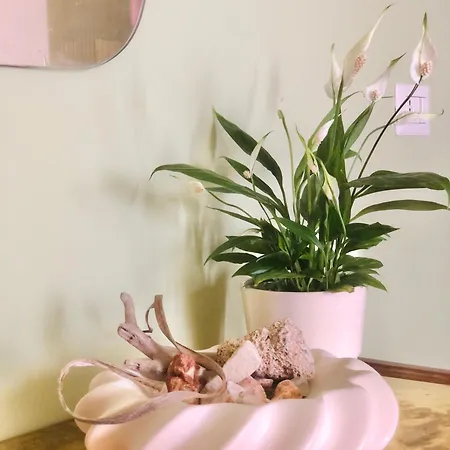 Sabbia - Il Tuo A Due Passi Dal Mare * Montesilvano