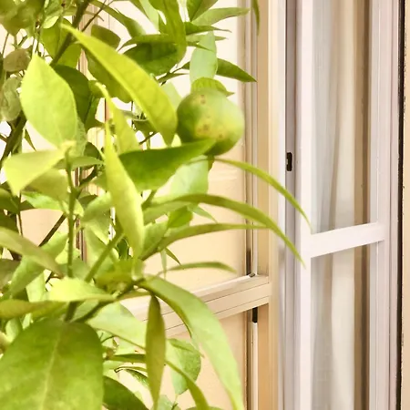 Apartment Sabbia - Il Tuo A Due Passi Dal Mare *