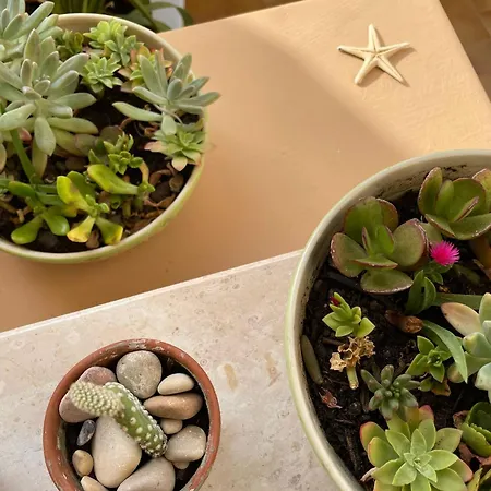 Apartment Sabbia - Il Tuo A Due Passi Dal Mare Montesilvano