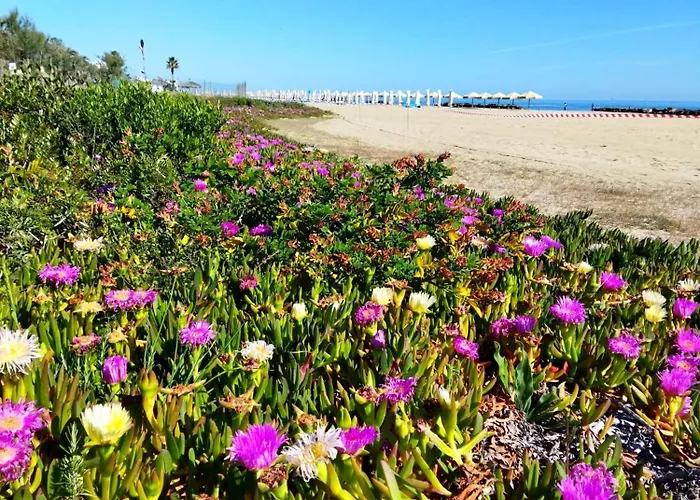 Sabbia - Il Tuo A Due Passi Dal Mare