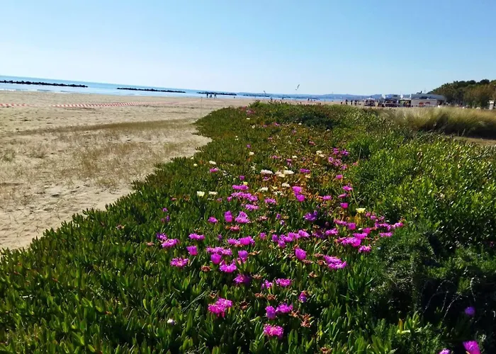 Sabbia - Il Tuo A Due Passi Dal Mare Apartamento Montesilvano Marina