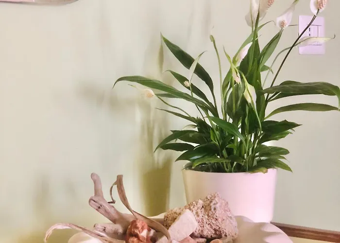 Sabbia - Il Tuo A Due Passi Dal Mare * Montesilvano Marina