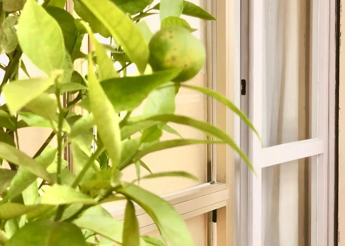 Apartamento Sabbia - Il Tuo A Due Passi Dal Mare *