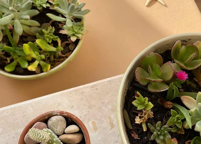 Apartamento Sabbia - Il Tuo A Due Passi Dal Mare Montesilvano Marina